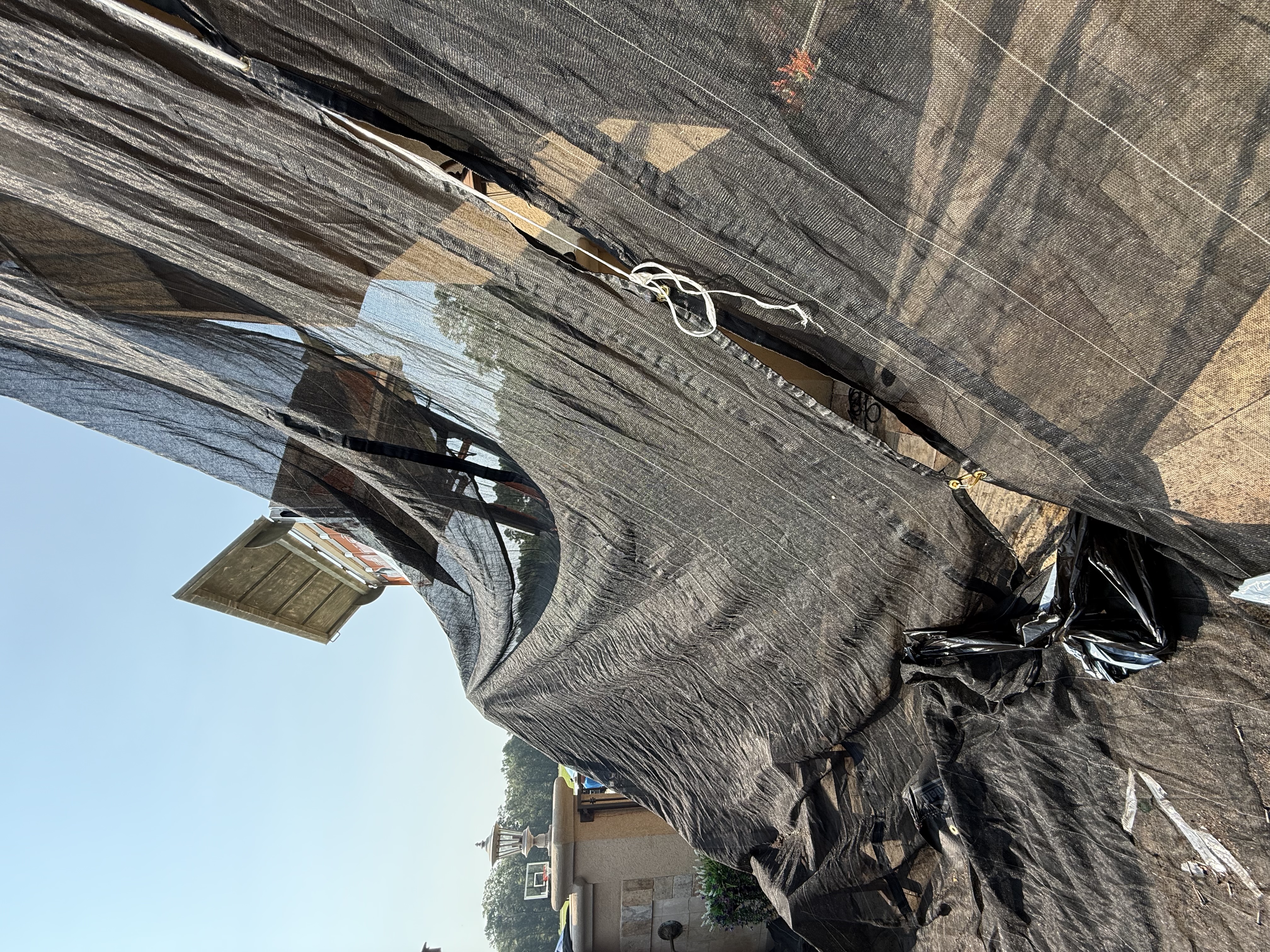Heavy-duty debris-catch netting protecting the home's facade