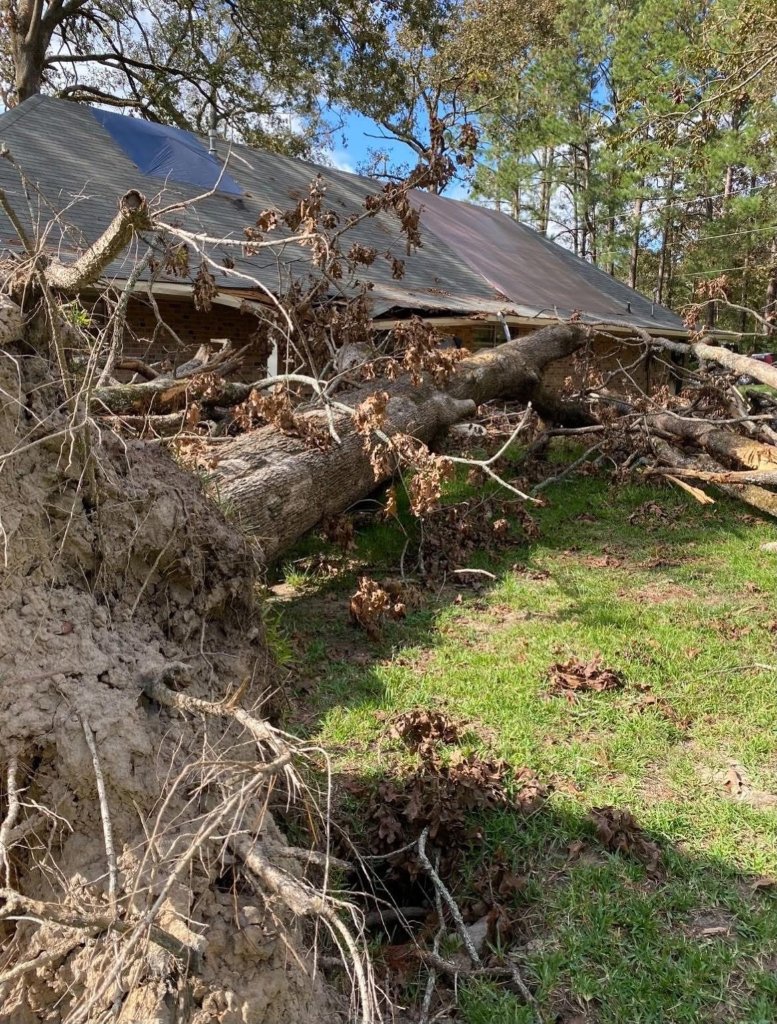 Insurance Restoration