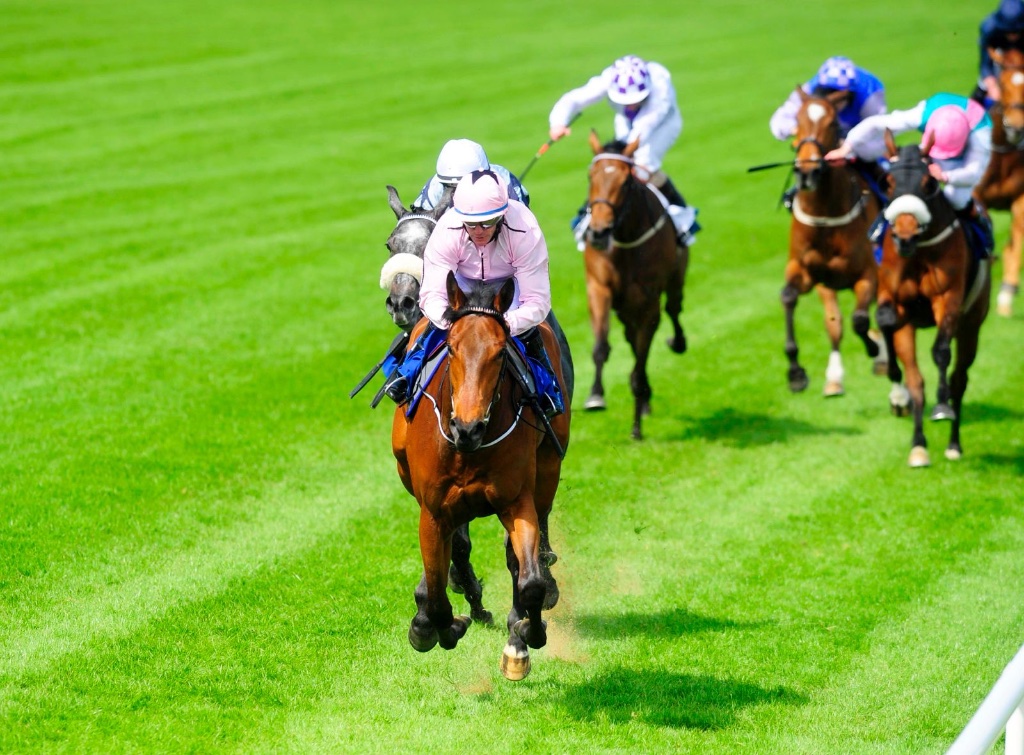 Now Or Never winning the 1000 Guineas Trial