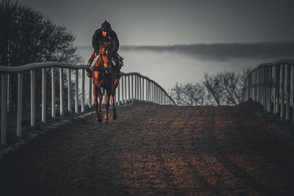 Training track at Michael O'Callaghan Racing, Dunlavin