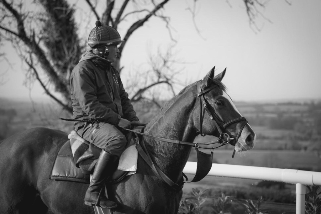 Lakeside work at Michael O'Callaghan Racing yard