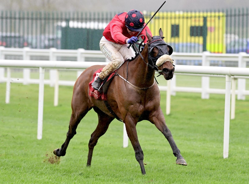 Navassa Island winning the Cork Stakes