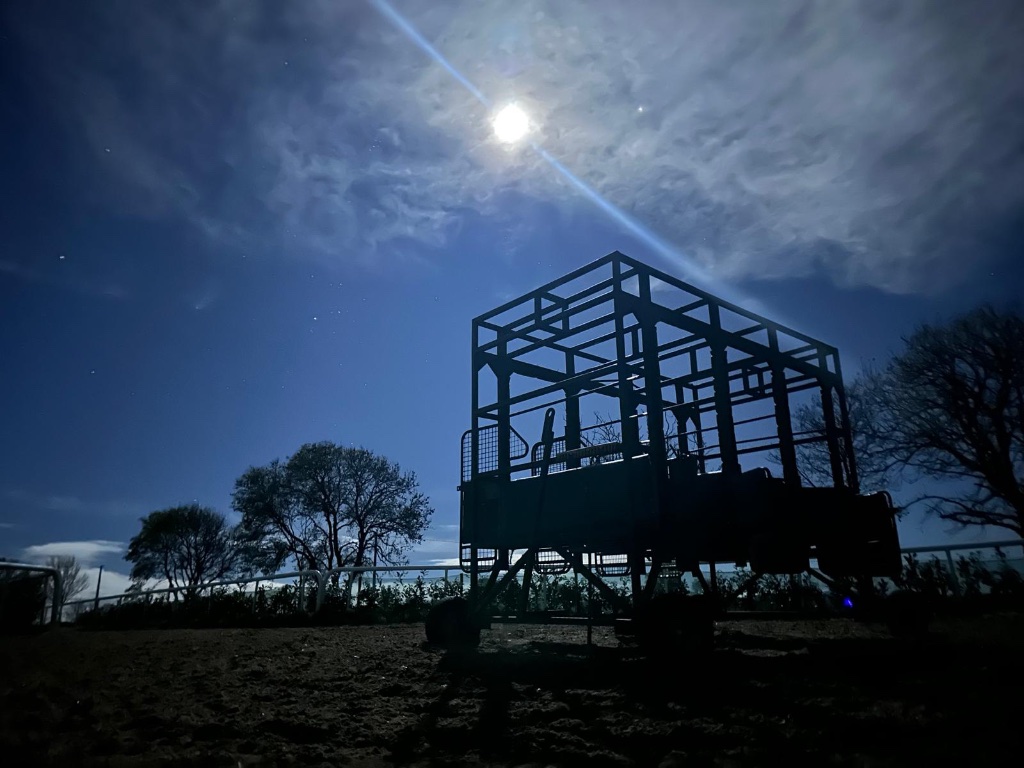 Cross-country work at Michael O'Callaghan Racing yard