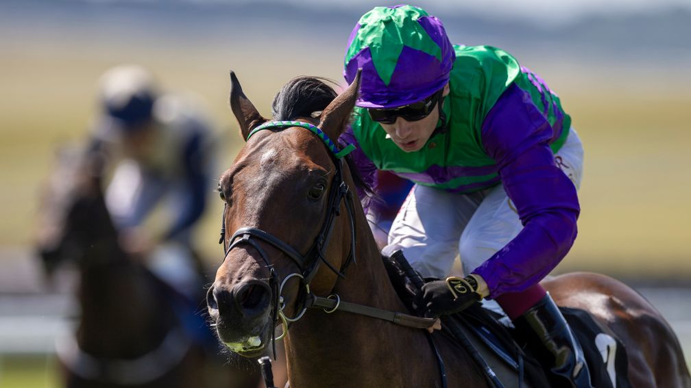 Celeron winning the Railway Stakes