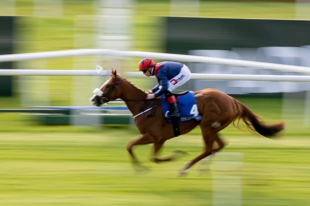 Raceday preparations at Michael O'Callaghan Racing