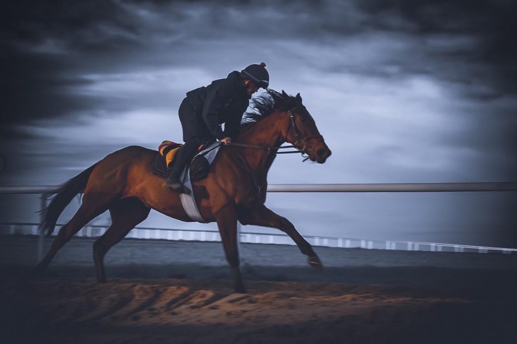 Stable care at Michael O'Callaghan Racing, Dunlavin