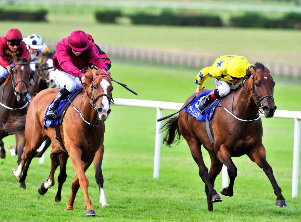 Letters Of Note winning the Yeomanstown Stud Stakes