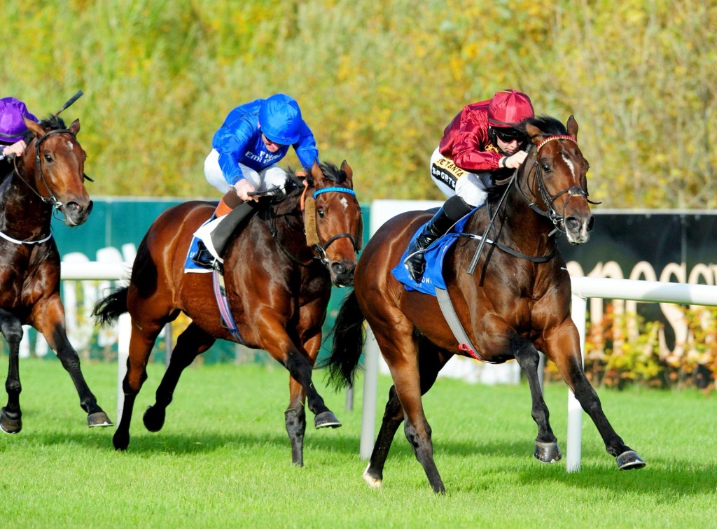Blue De Vega winning the Kilavullan Stakes