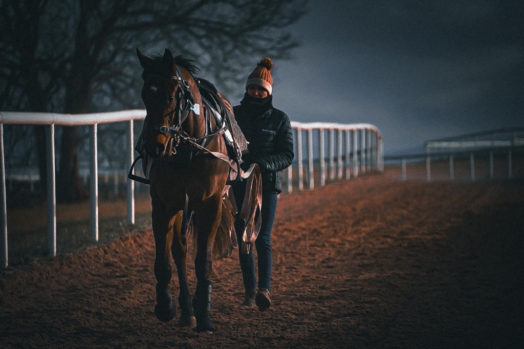 Winter work at Michael O'Callaghan Racing, Dunlavin