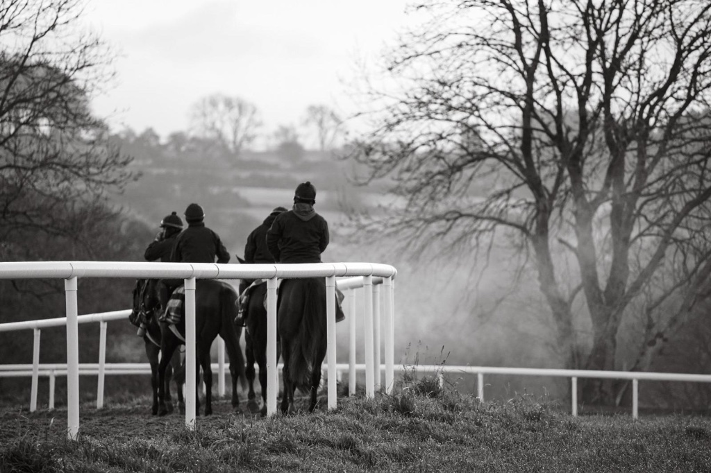 Evening gallop at Michael O'Callaghan Racing, Co. Kildare
