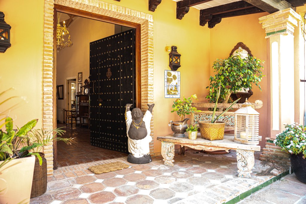 Jardín y vegetación