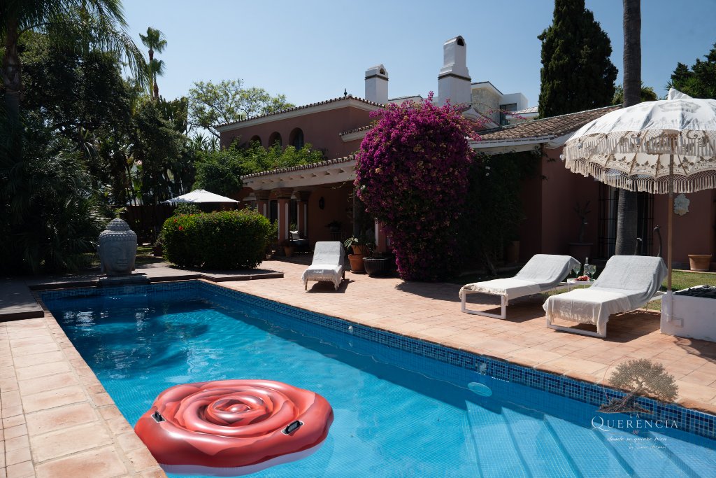 Terraza y palmeras