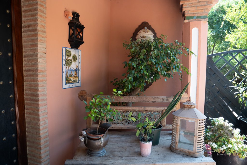 Jardín tropical