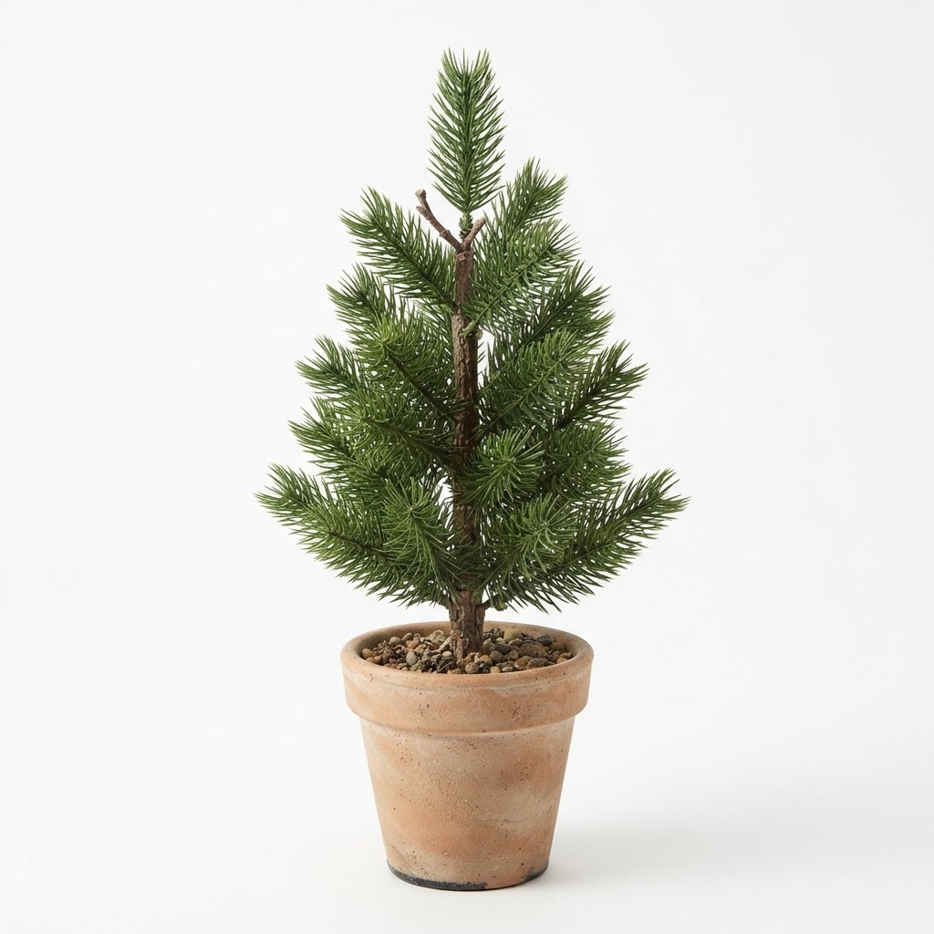 Miniature Potted Pine Tree