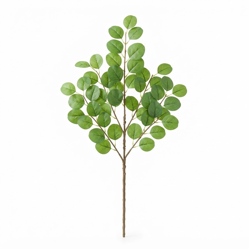 Summer Eucalyptus Leaf Stem
