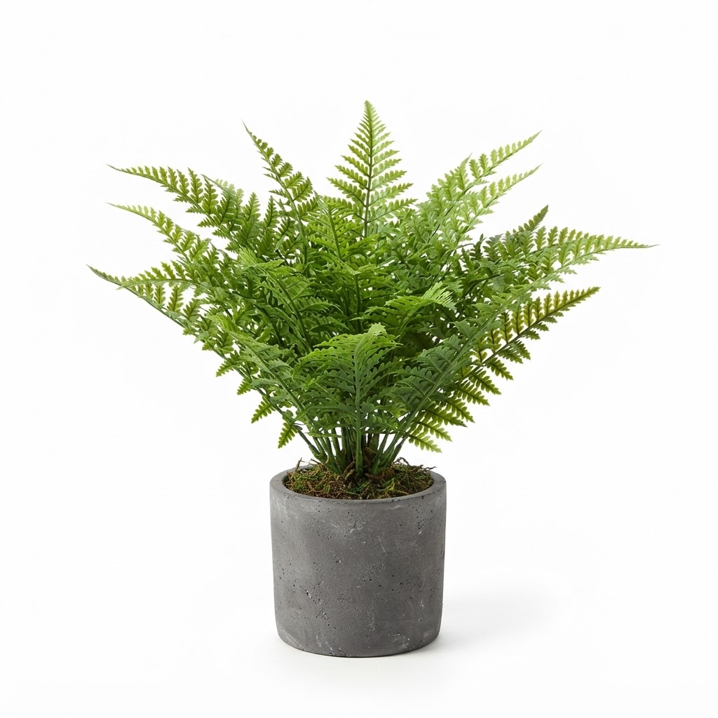 Potted Faux Fern Plant