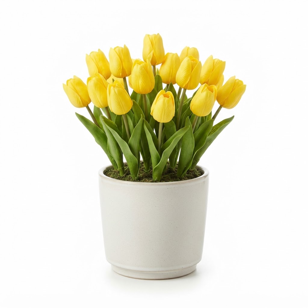Transitional Potted Yellow Tulip Set