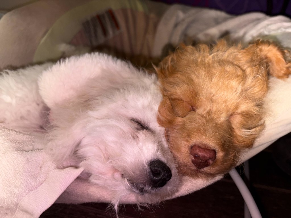 Snooze breaks