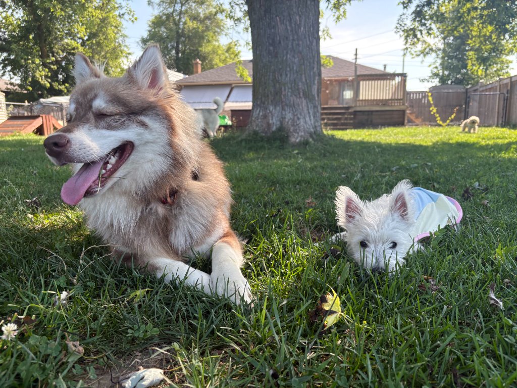 Outdoor adventures