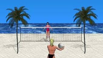 Beach Volleyball Lite