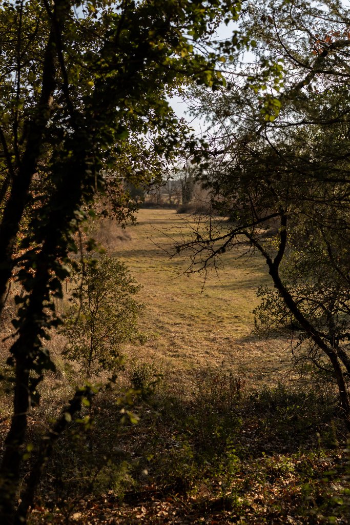 Terroir 8