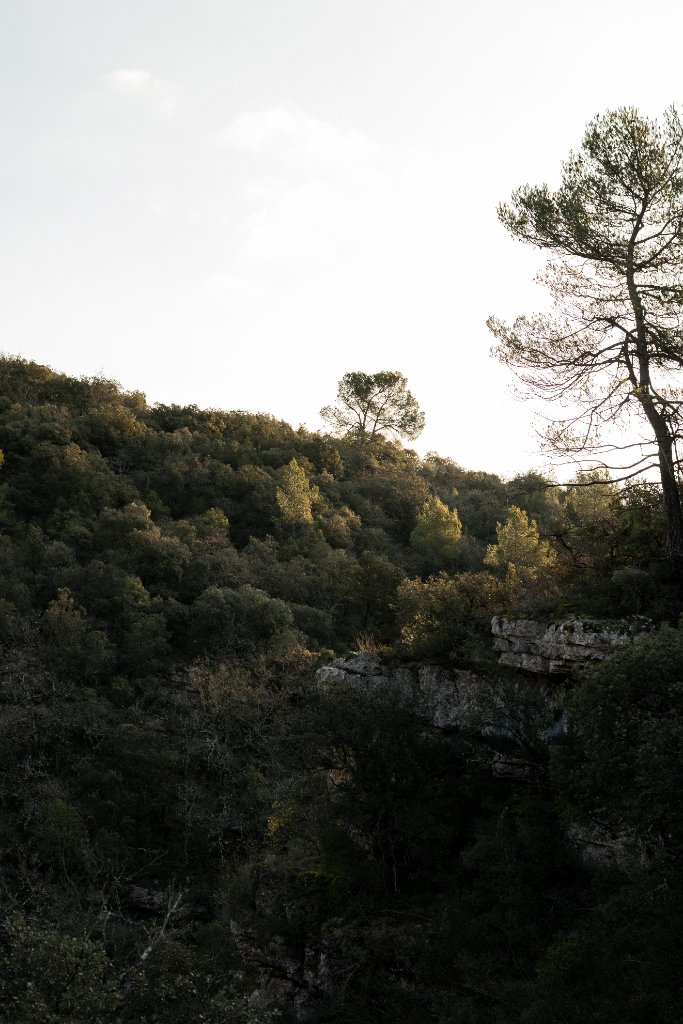 Terroir 14