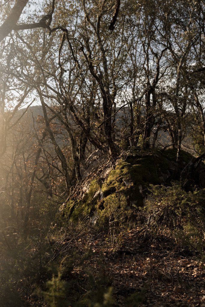 Terroir 5