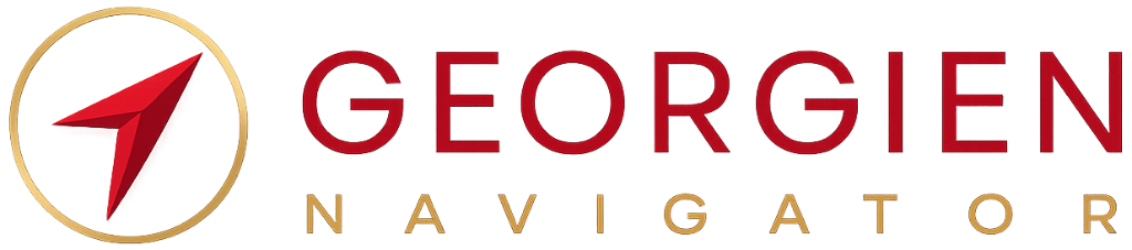 Georgia Navigator