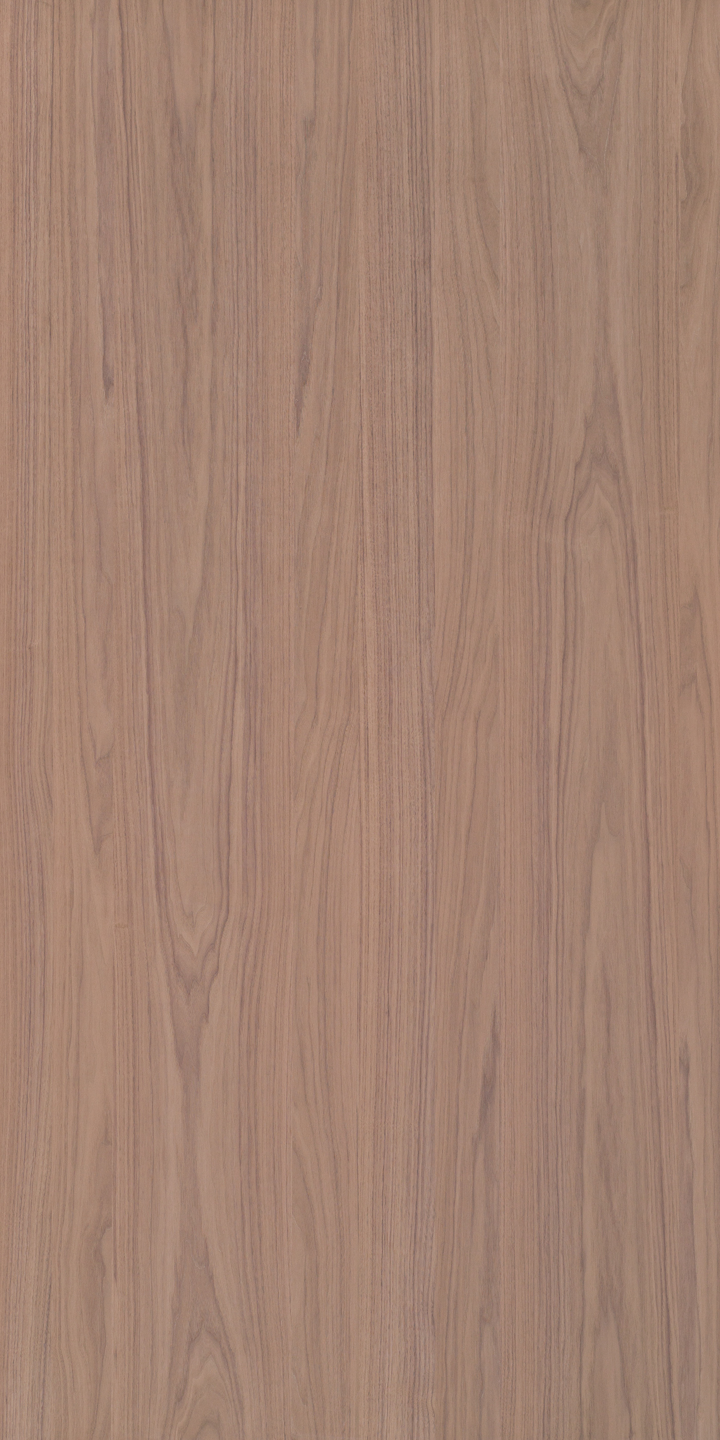 Nogal Imperial Fun