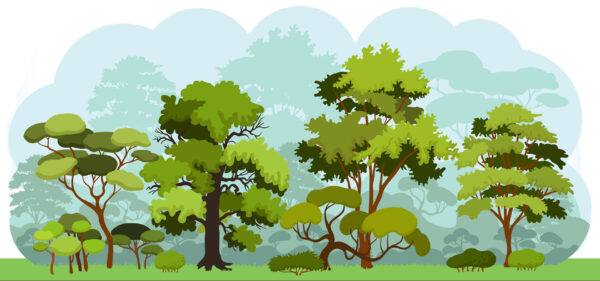 Graphics