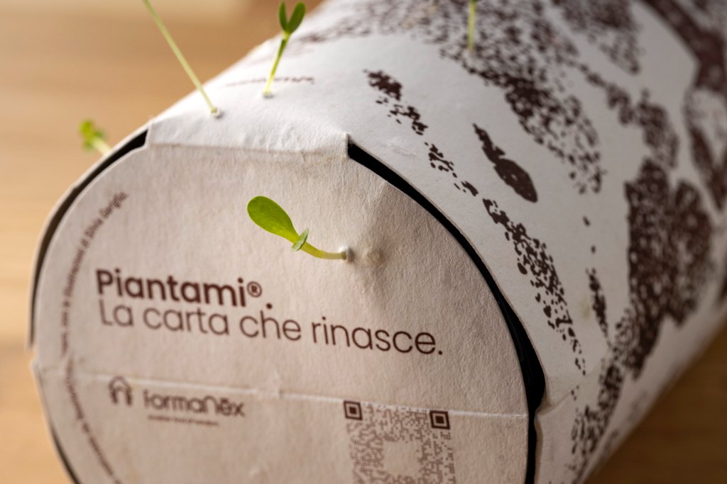 Packaging sostenibile in Carta Bioattiva
