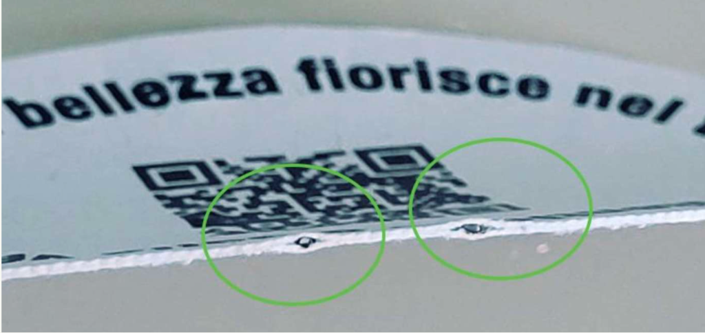 Semi nella carta Piantami