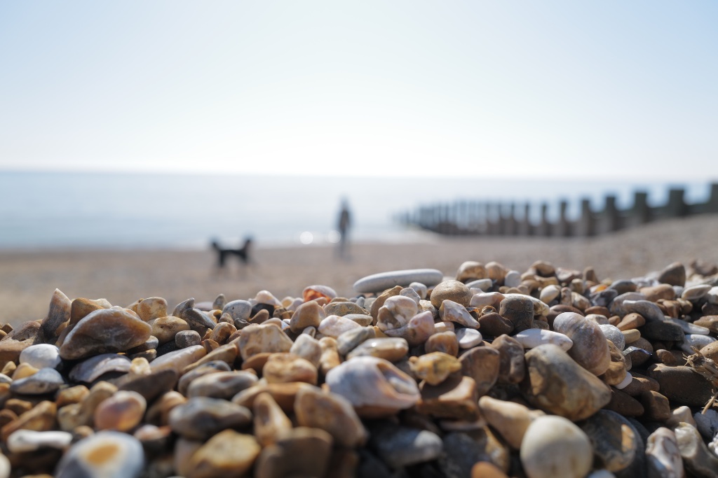 Pebble beach close-up