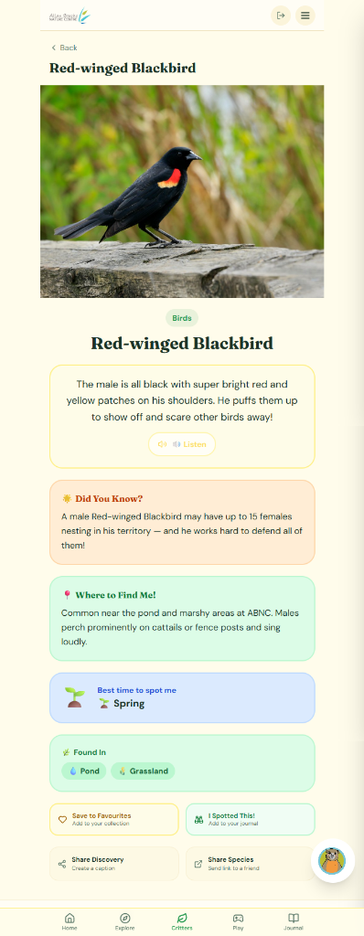Species Detail - Red-winged Blackbird