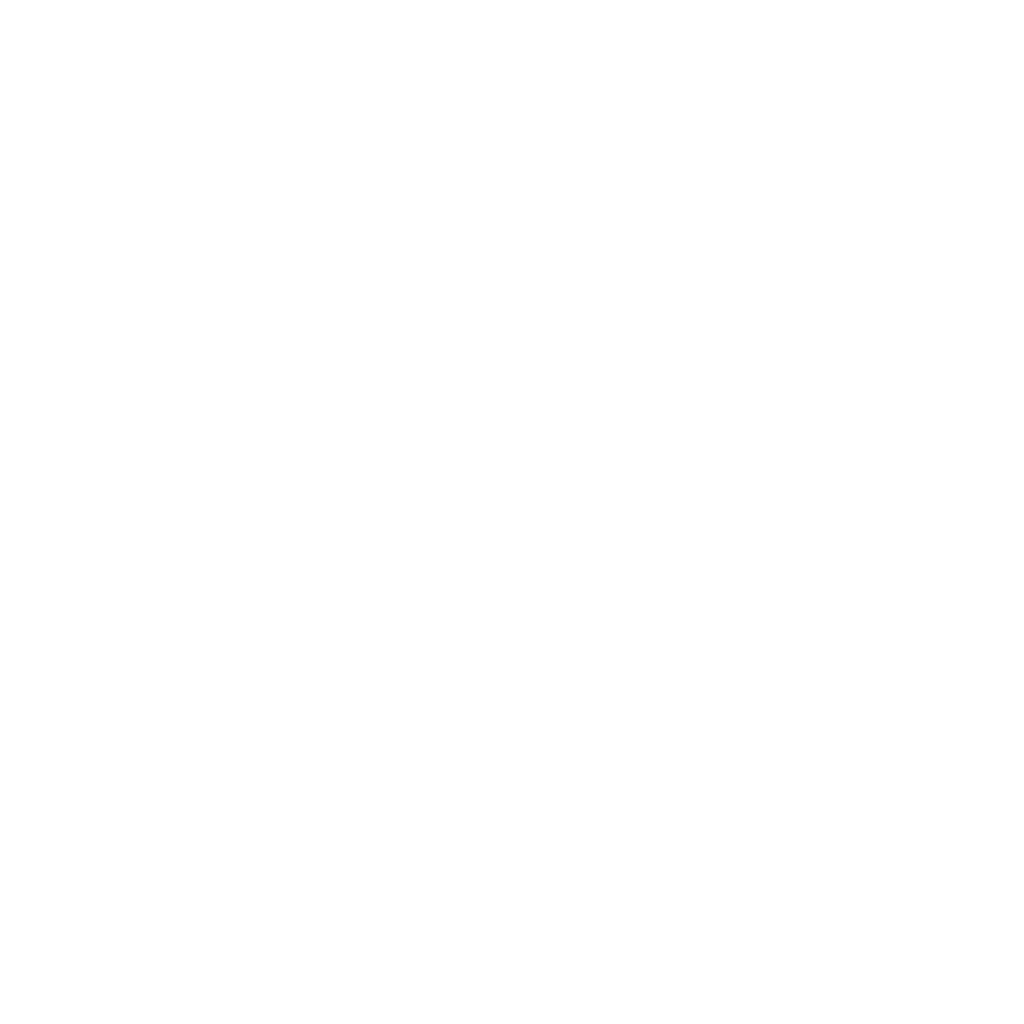 TwinSafety