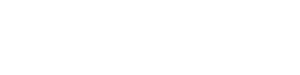 TwinSafety