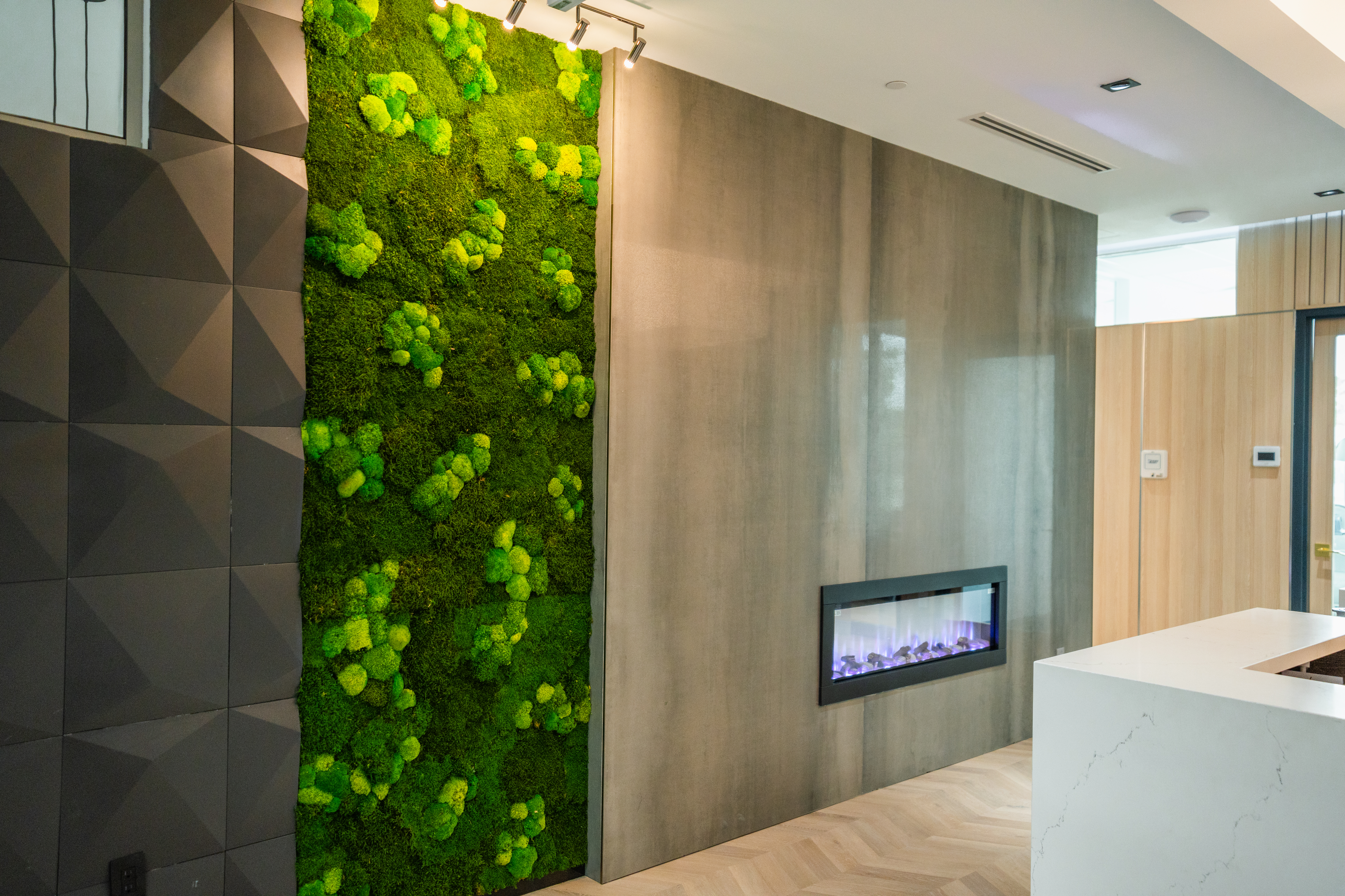DS Dental reception area with moss wall feature