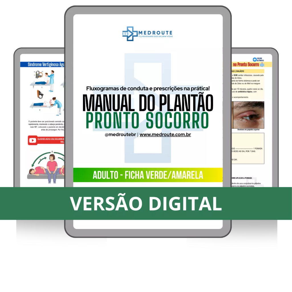 Manual do Plantão — Fichas Verde e Amarela