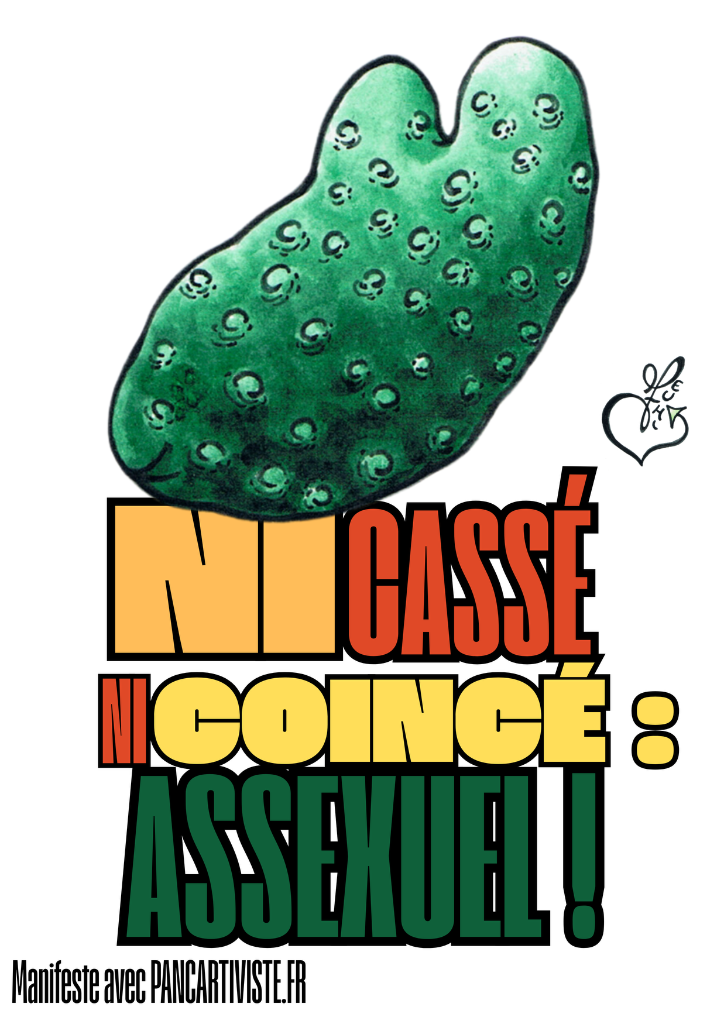 Ni Cassée Ni Coincée : Assexuelle !