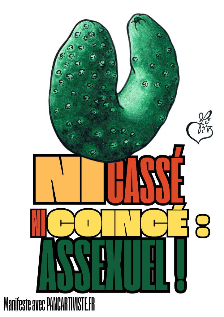 Ni Cassé Ni Coincé : Assexuel !