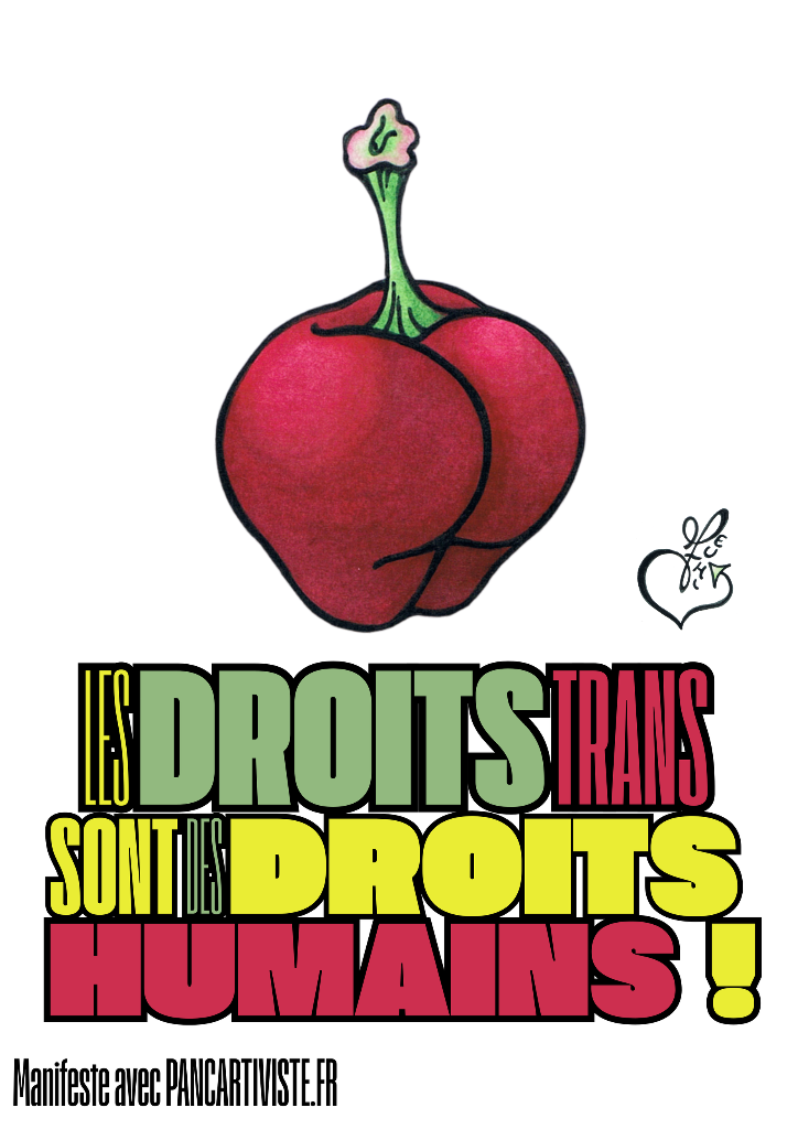 Les Droits Trans sont des Droits Humains !