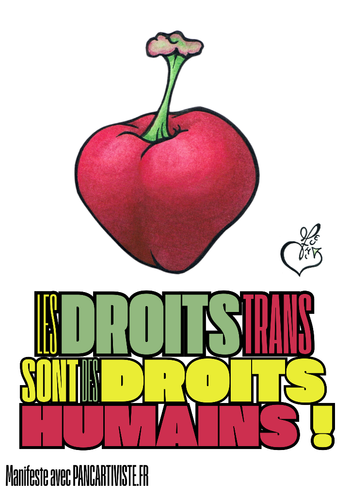 Les Droits Trans sont des Droits Humains !