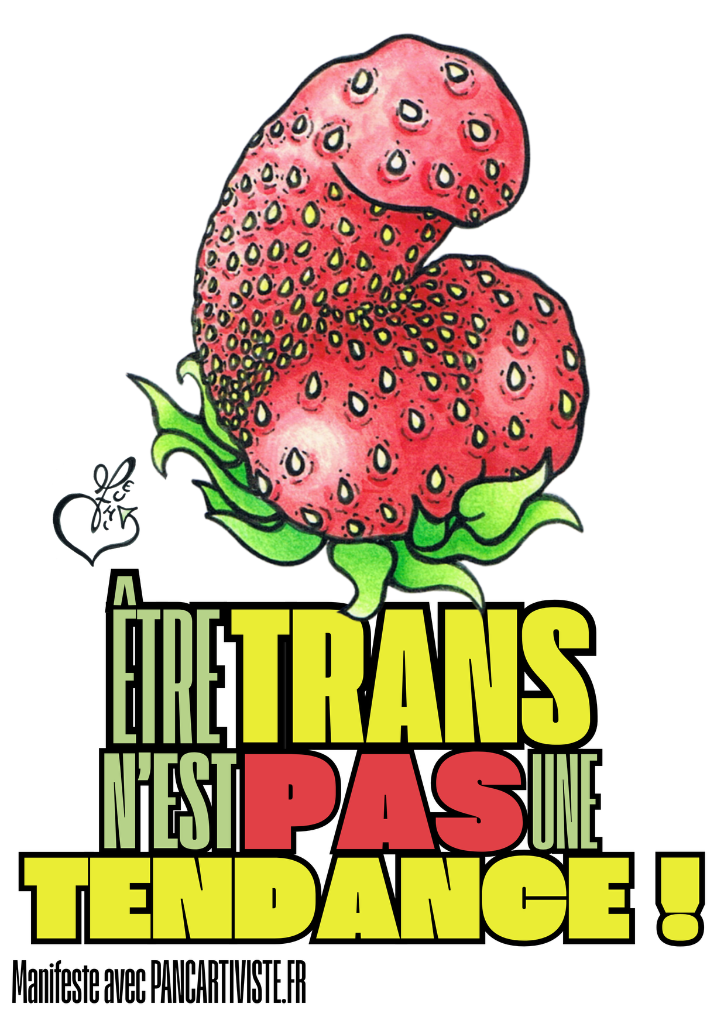 Être Trans n'est pas une Tendance !
