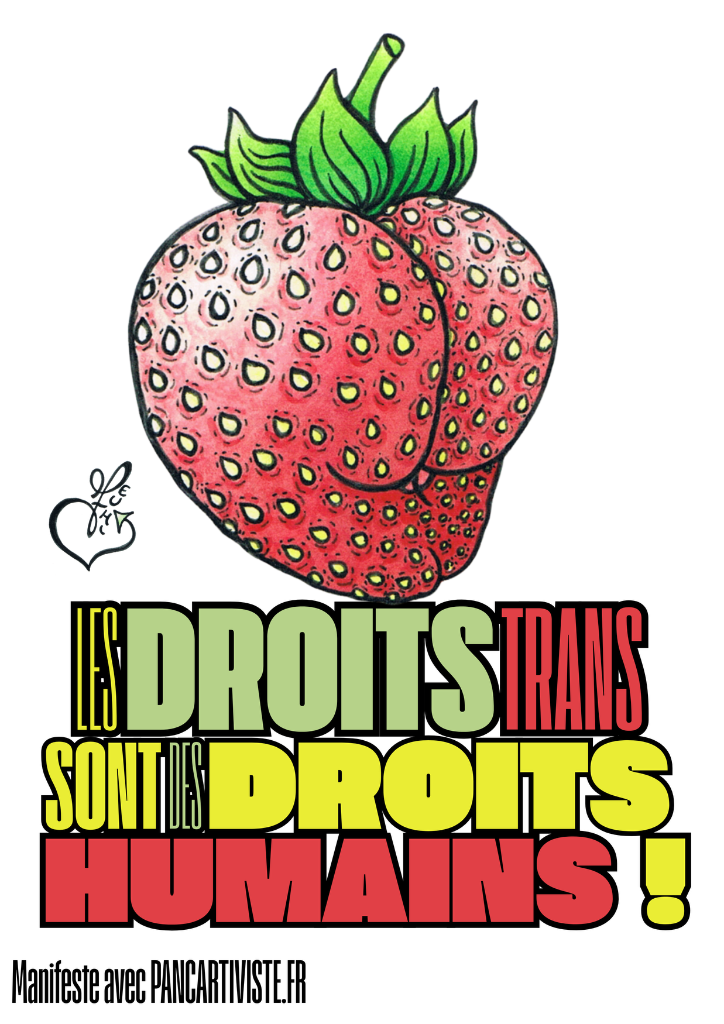Les Droits Trans sont des Droits Humains !