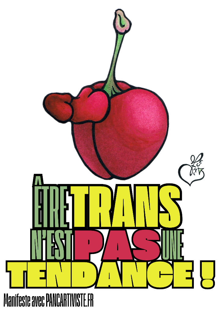 Être Trans n'est pas une Tendance !