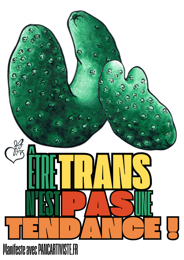 Être Trans n'est pas une Tendance !