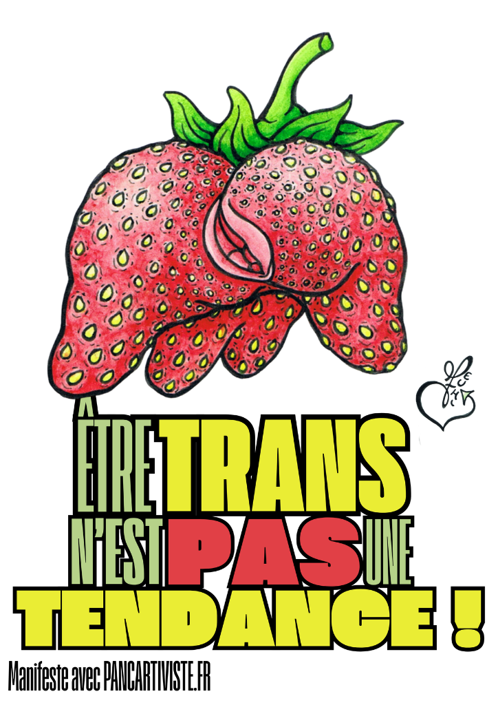 Être Trans n'est pas une Tendance !
