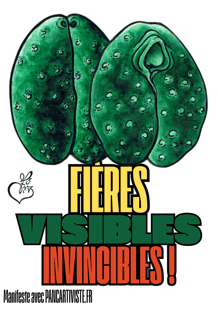 Fières Visibles Invincibles !