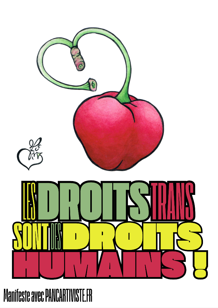 Les Droits Trans sont des Droits Humains !