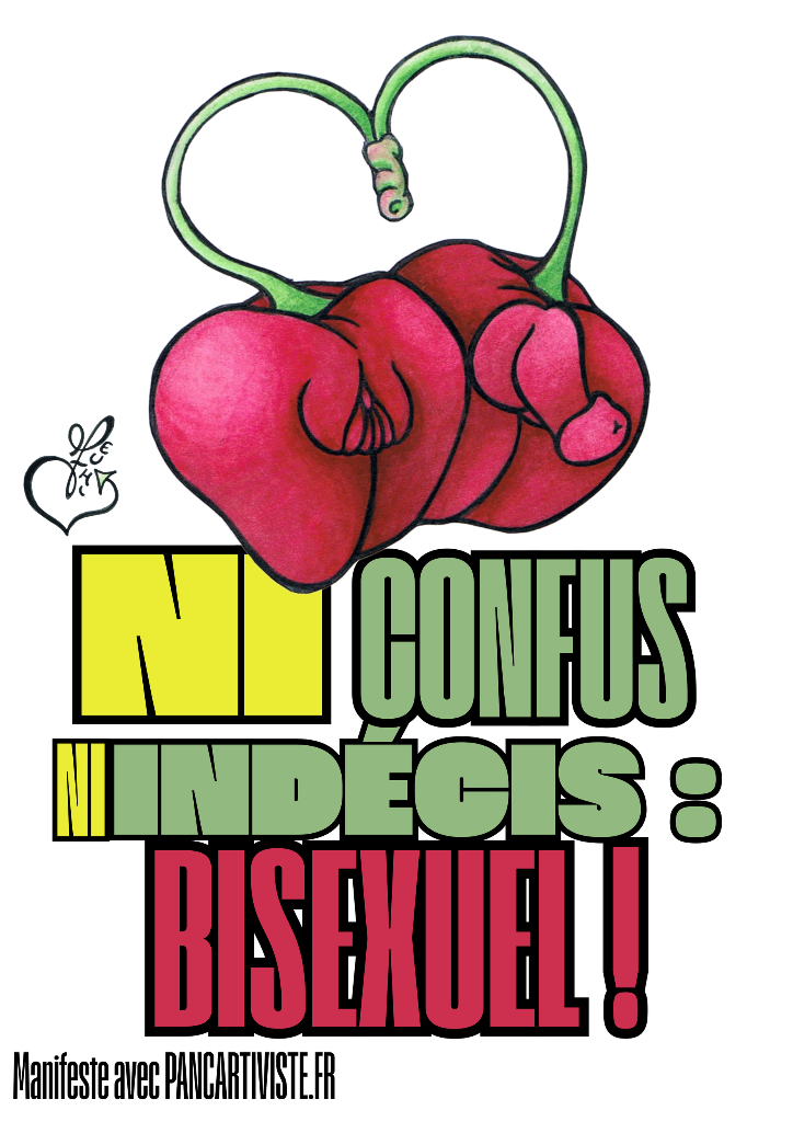 Ni Confus Ni Indécis : Bisexuel !